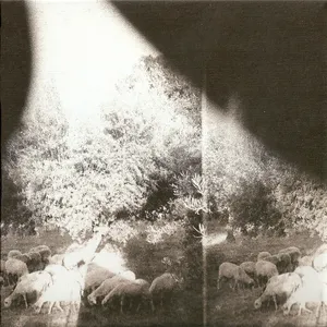 Asunder, sweet and other distress